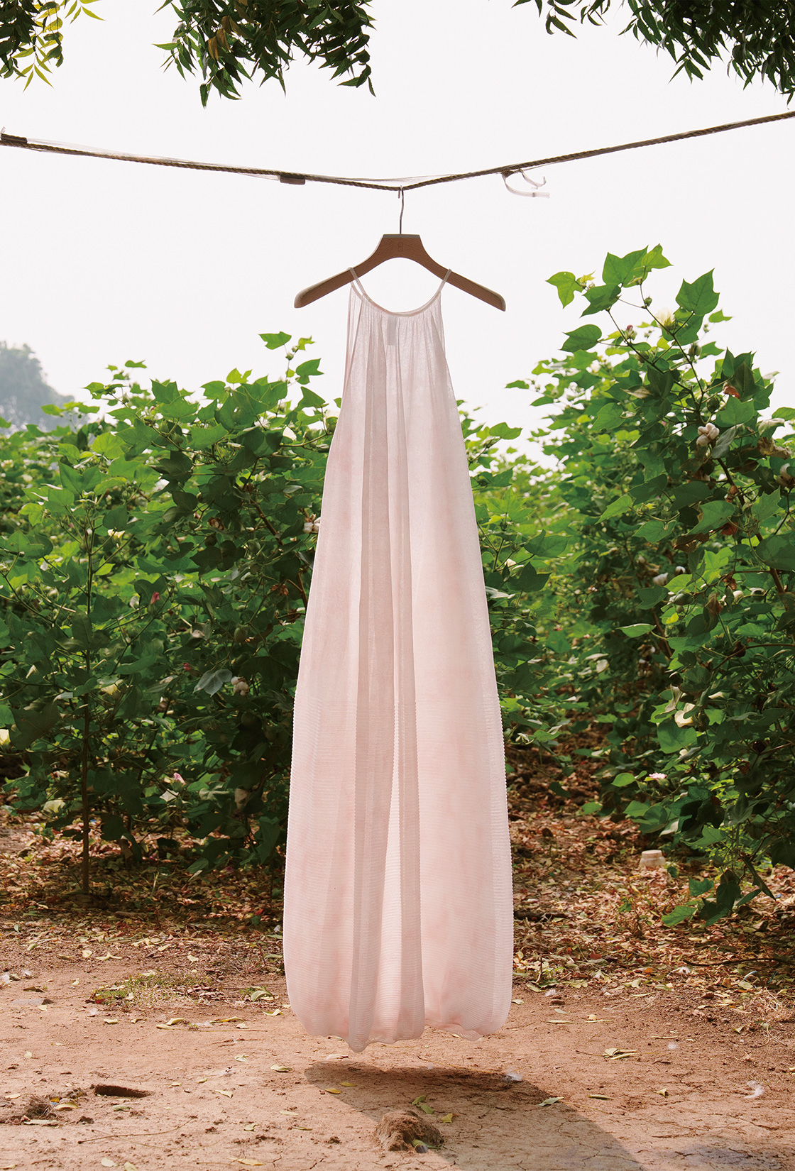 コットン・イン・コンバージョンの綿花と、それを使ったワンピース。